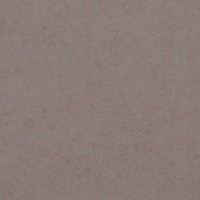 Taupe 20.04